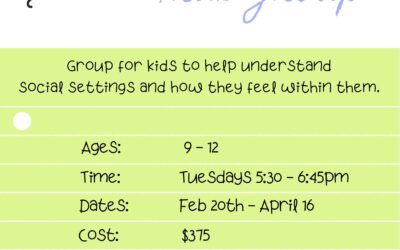 Social Emotional Kids Group